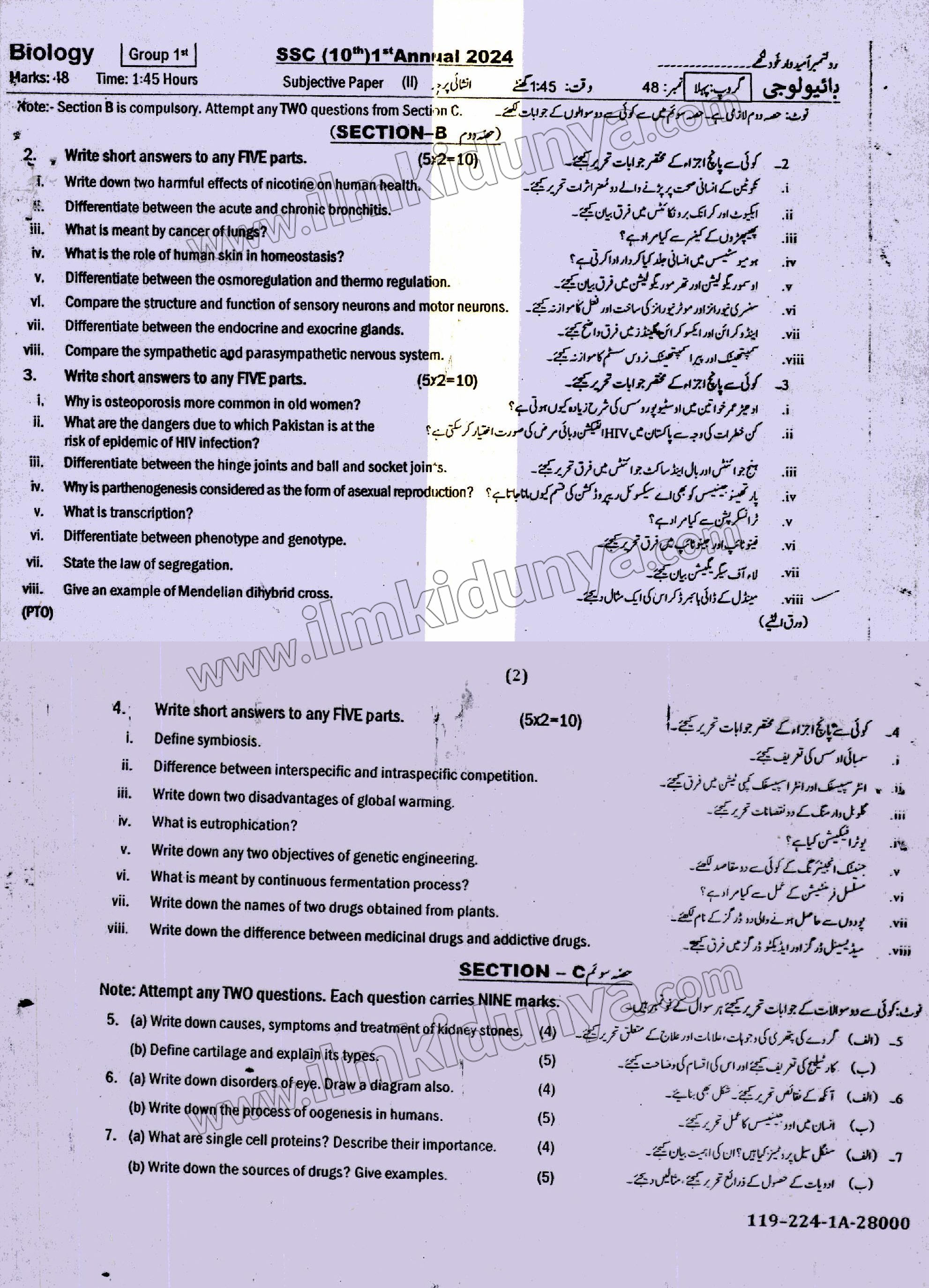 Paper Image